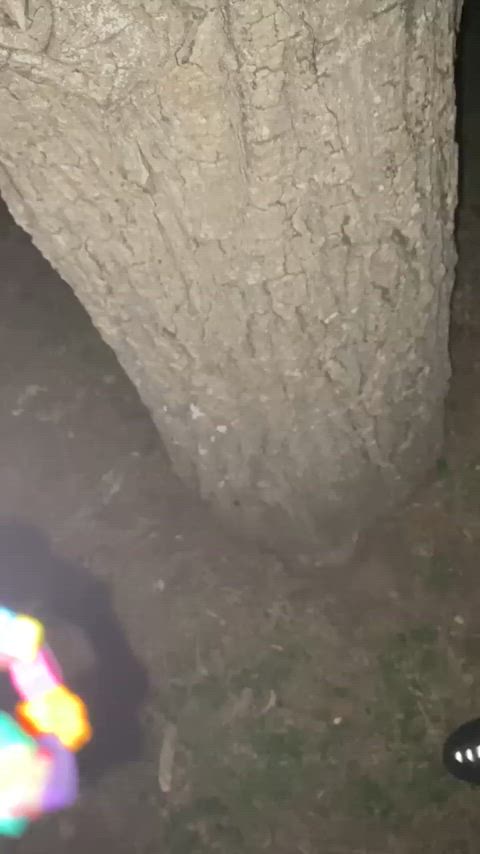 We on the side of the road with people driving past ( worth it ) : video clip