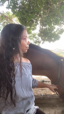 probably the horses also get a boner : video clip