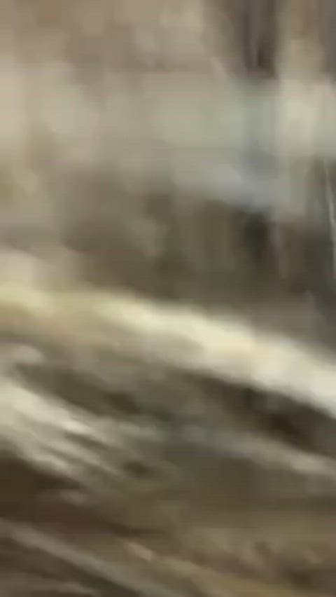 Amateur GIF by johnsniper : video clip