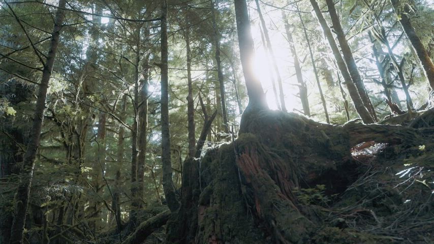 another beautiful hike with @kellenrhis : video clip