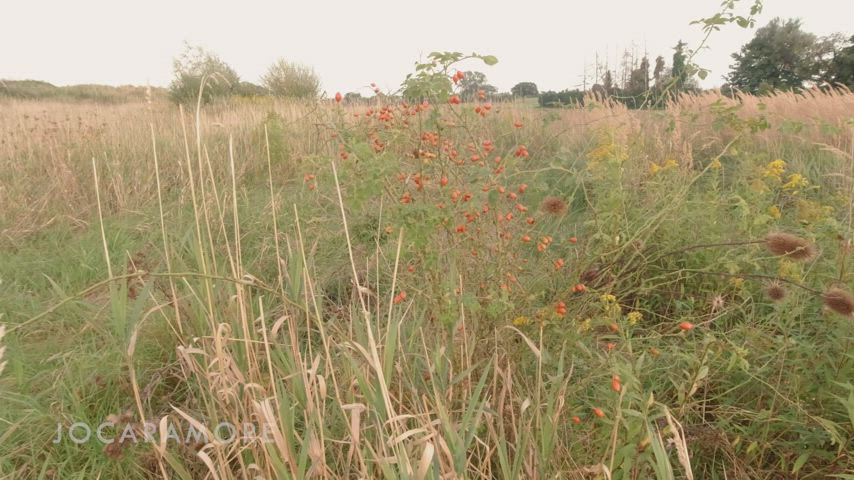 Getting a blowjob on the backseat. : video clip
