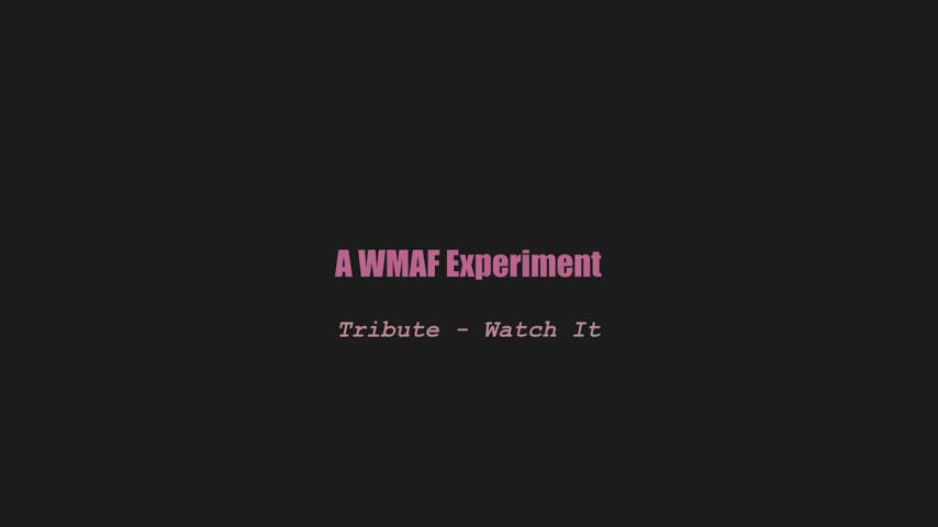 A wmaf experiment - Tribute - Watch It (splitscreen PMV) : video clip