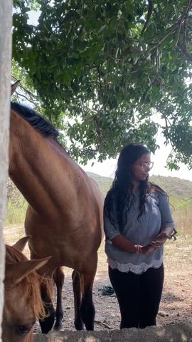 animals and people in arizona love my small boobs : video clip
