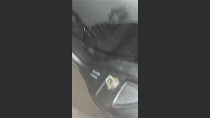 I feel that it makes a good contrast with the colors of the night : video clip