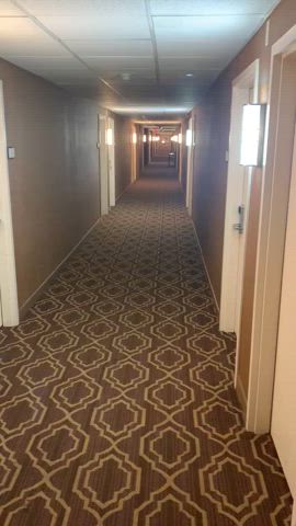 I wanted to hear the elevator ding : video clip