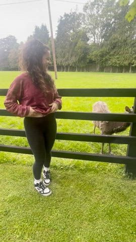 Flashing at the farm! : video clip