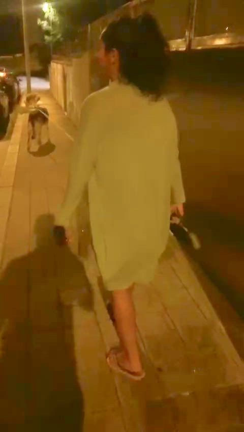 Just a regular night walk with my dogs : video clip