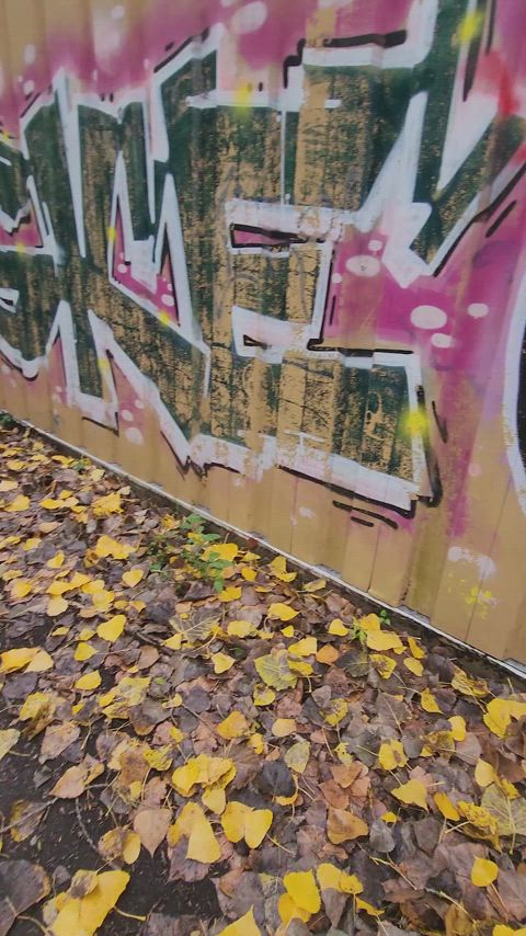 Always have fun when we go to the park : video clip