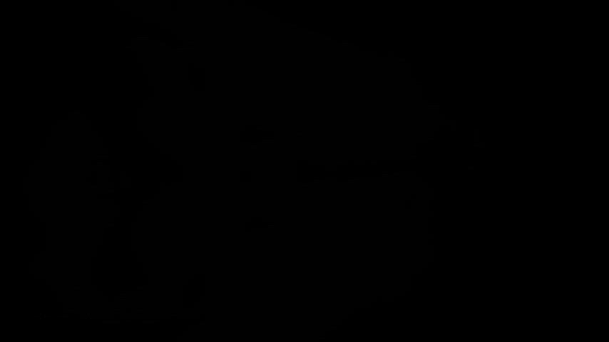 She liked it like icecream : video clip