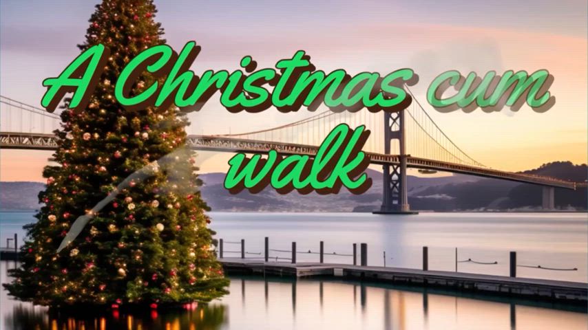 A fun cumwalk at Pier 39 for the holidays : video clip