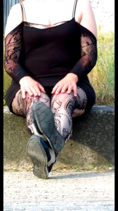 Pussy posing for the city park visitors. : video clip