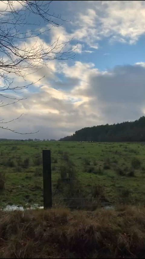 It's cold, can I warm up your coock : video clip