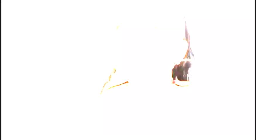 Payton Preslee Edit Pt 2 : video clip