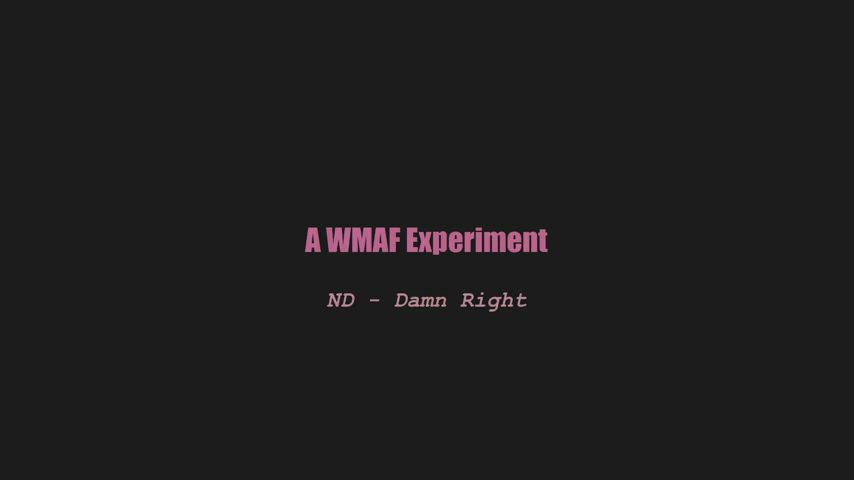 A wmaf experiment - ND - Damn Right (splitscreen PMV) : video clip