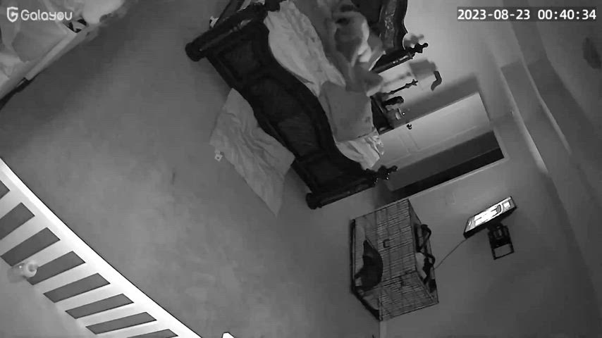 I love having home cameras! : video clip