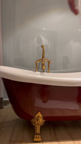 Choose one hole :P pussy or ass? : video clip