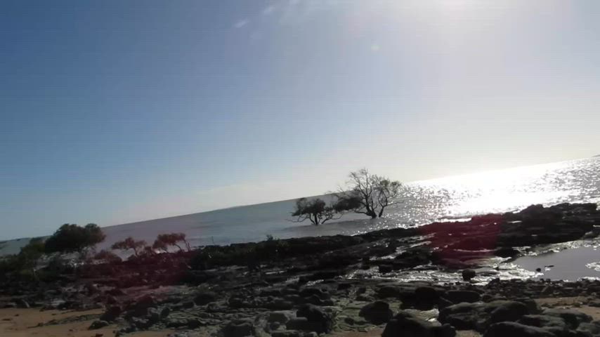 [OC]~I know a spot 🤫😈 pt.2 : video clip