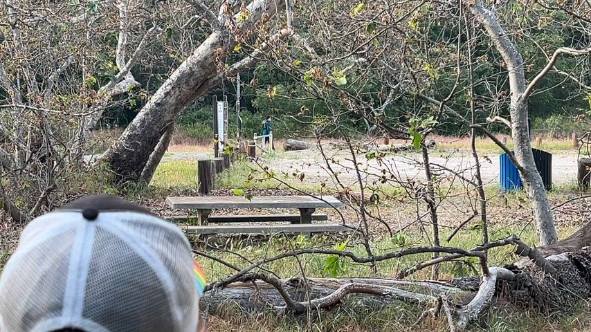 A nice load on my tits at the park. So hot! : video clip