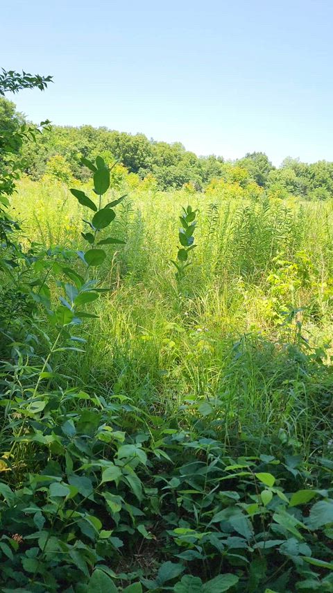 Like the view up there daddy : video clip