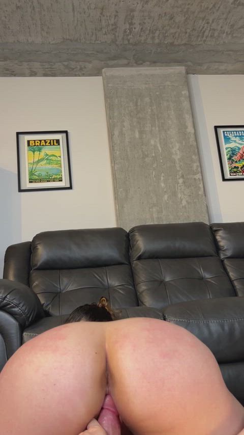 Will you let me bounce on it? : video clip