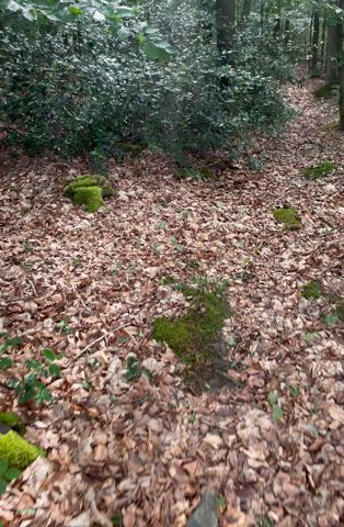 Had much fun outside🔥 : video clip