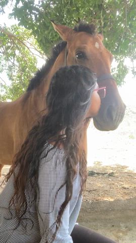 should i ride the horse or you? : video clip