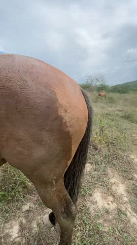 as a farmer slut i have to make the farmer happy : video clip