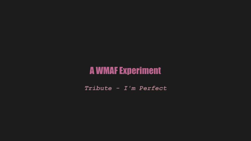 A wmaf experiment - Tribute - I'm Perfect (splitscreen PMV) : video clip