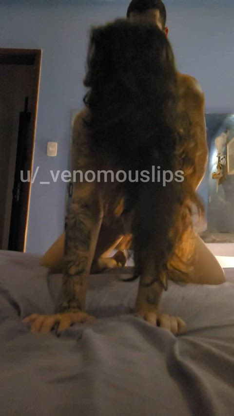 Cumming in bull's cock : video clip