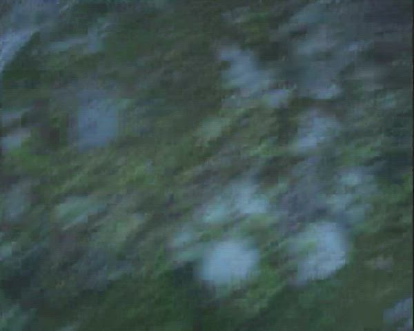 we went on a hike this weekend :) : video clip