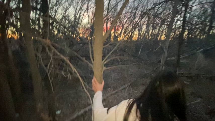 The lake trees are perfect : video clip