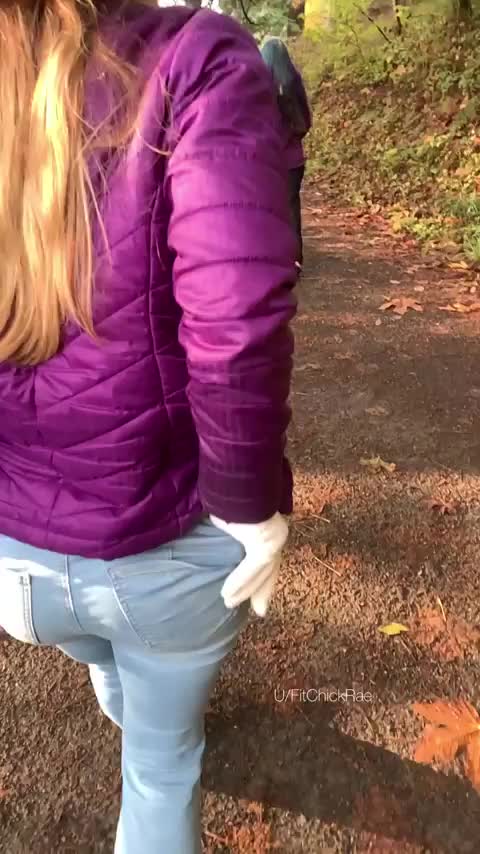 A perfect Autumn walk [GIF] : video clip