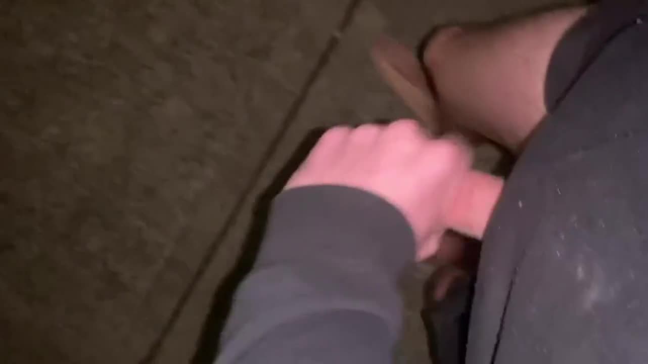 Night walks : video clip