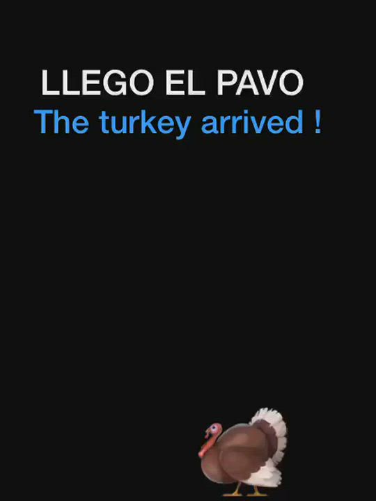 The Turkey Arrived : video clip