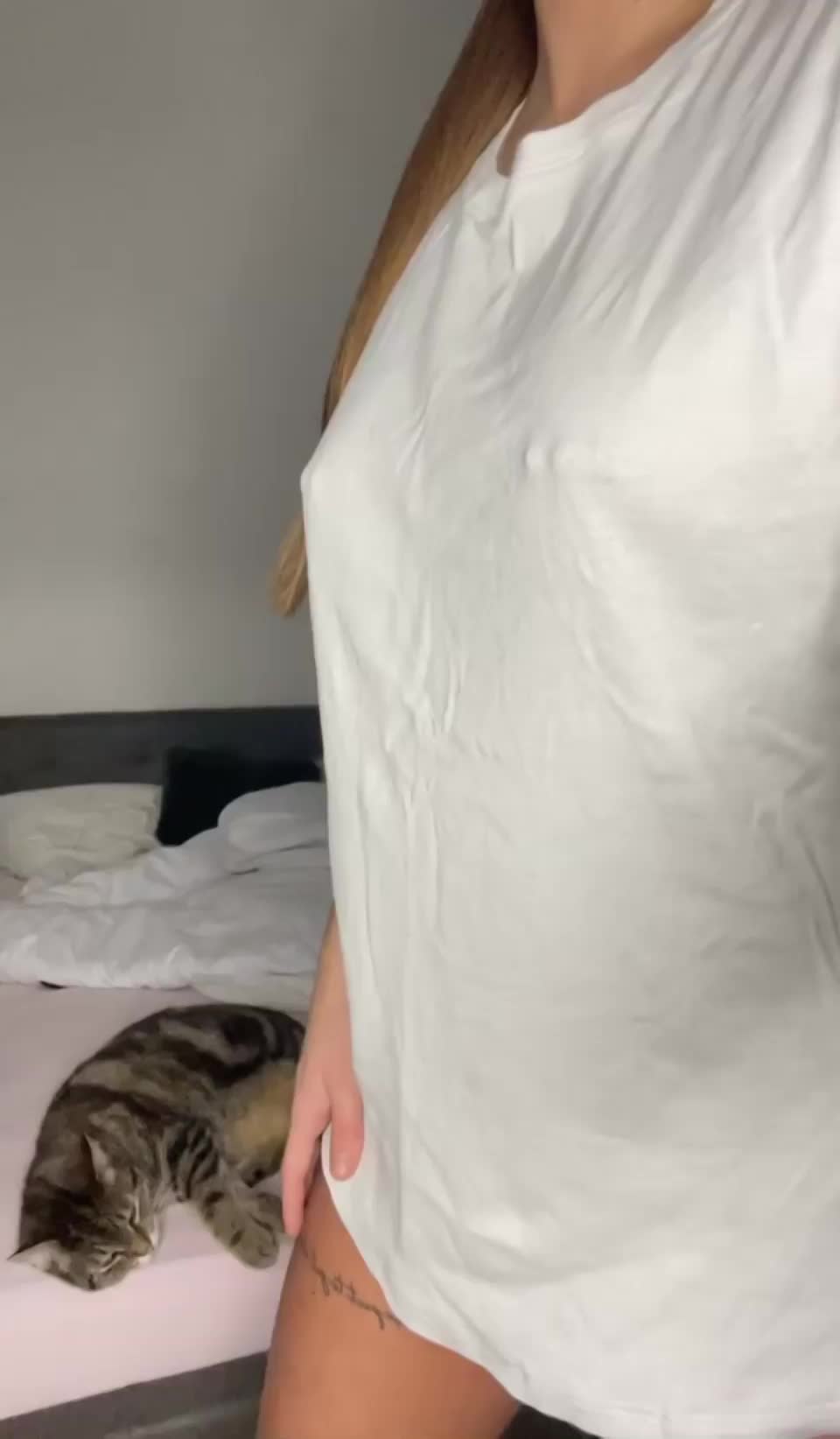 Do my cherries or my kitty make you smile more? : video clip