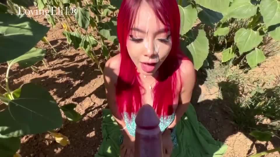 imagine finding this good girl in the field of sunflowers : video clip