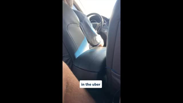 Uber trips are fun [GIF] : video clip