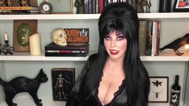 Elvira : video clip