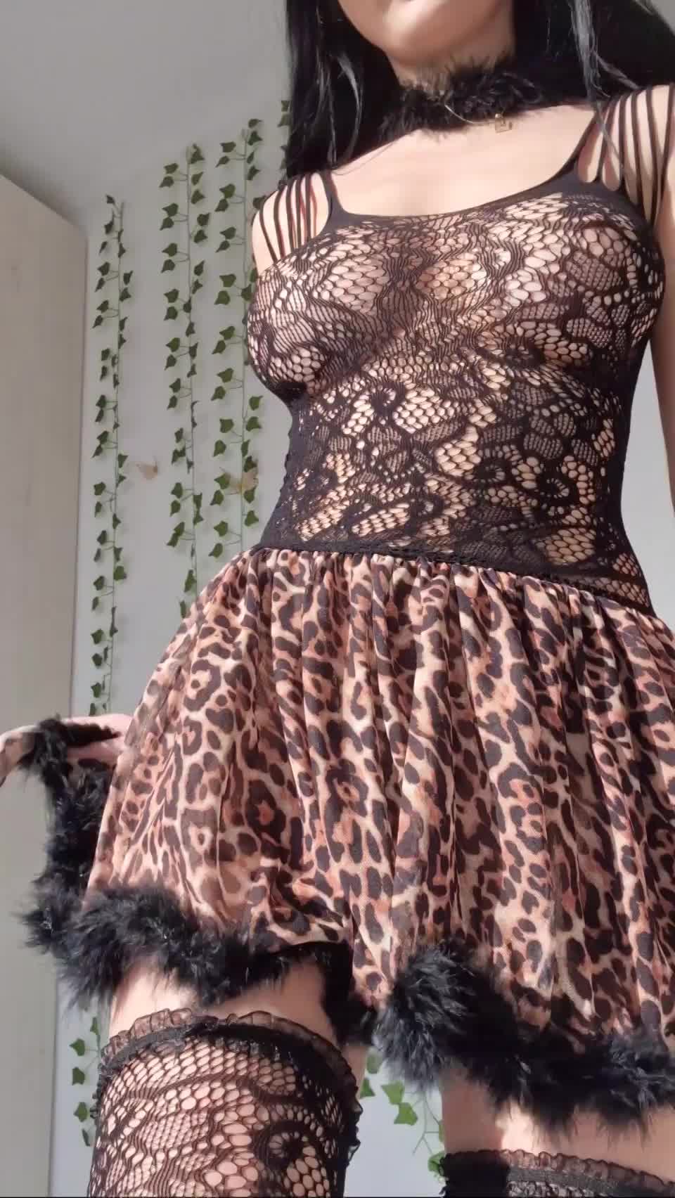 This kitty has some big milkers : video clip