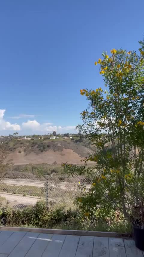 They have such a cute little bounce : video clip