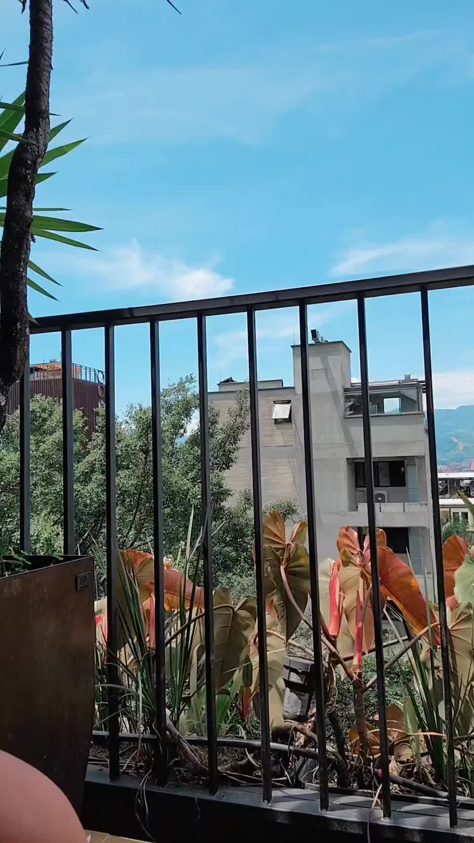 If you were my neighbor, how often you'd visit me? : video clip