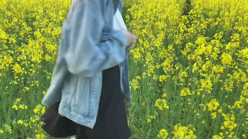 Flashing in a field of yellow flowers : video clip