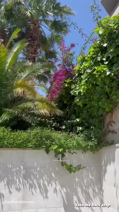 curvy sexy mom : video clip