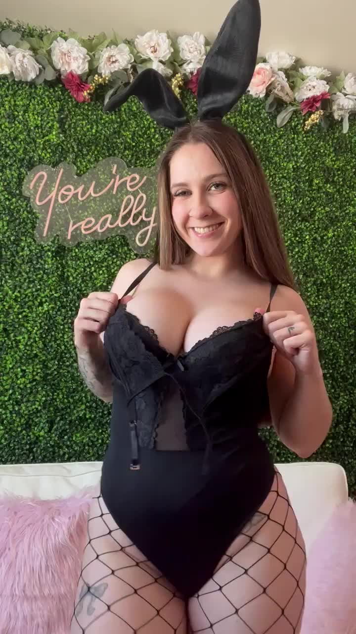 This bunny wants babies : video clip