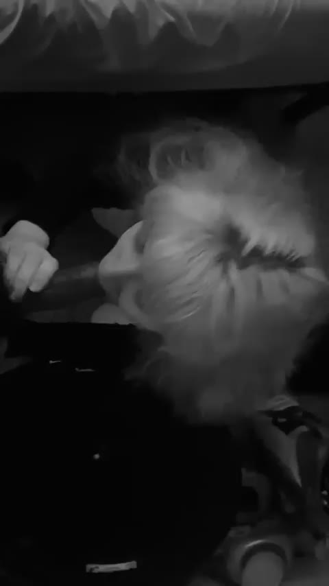 No hands looking up : video clip