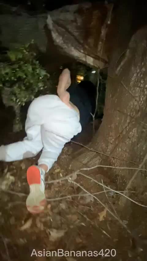 Oh no I'm stuck under this tree, I hope someone doesn't breed me 😉 : video clip