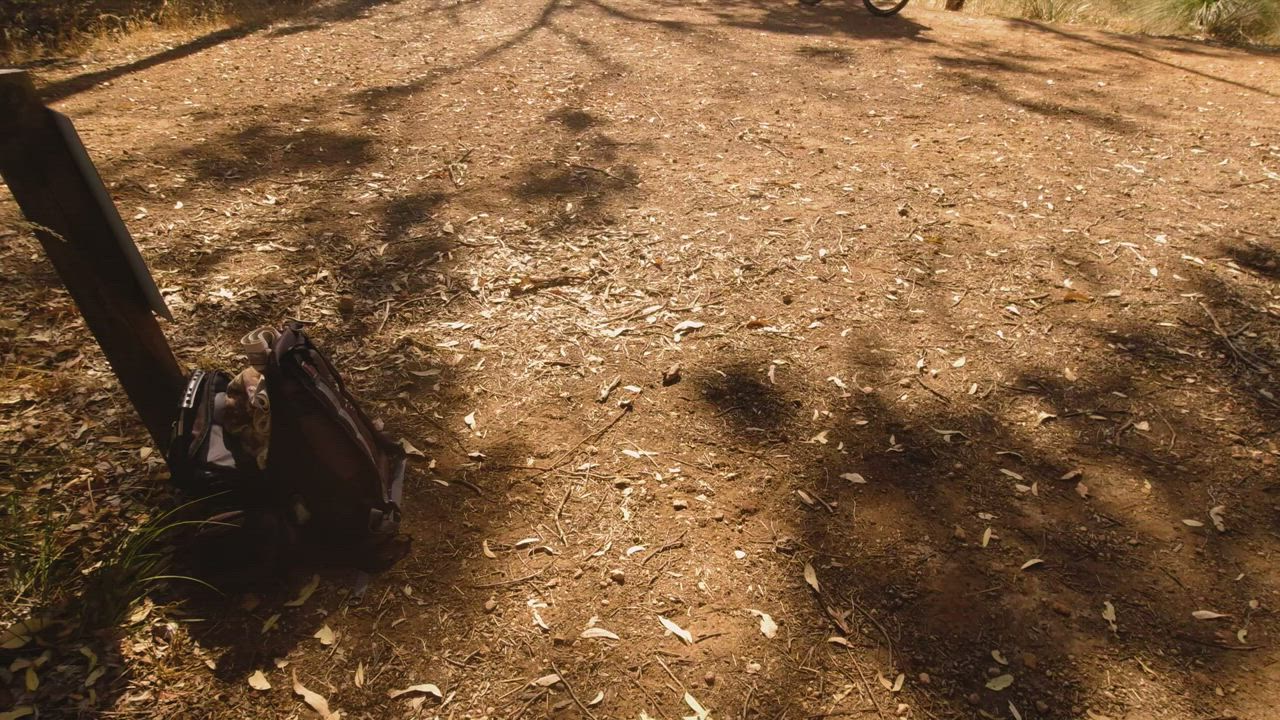 Literally holding the moan on a popular trail [GIF] : video clip