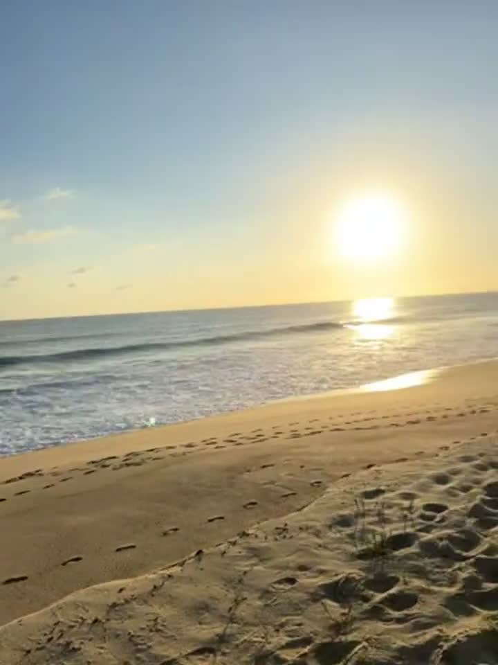 No better feeling than letting my titties breathe at the beach : video clip