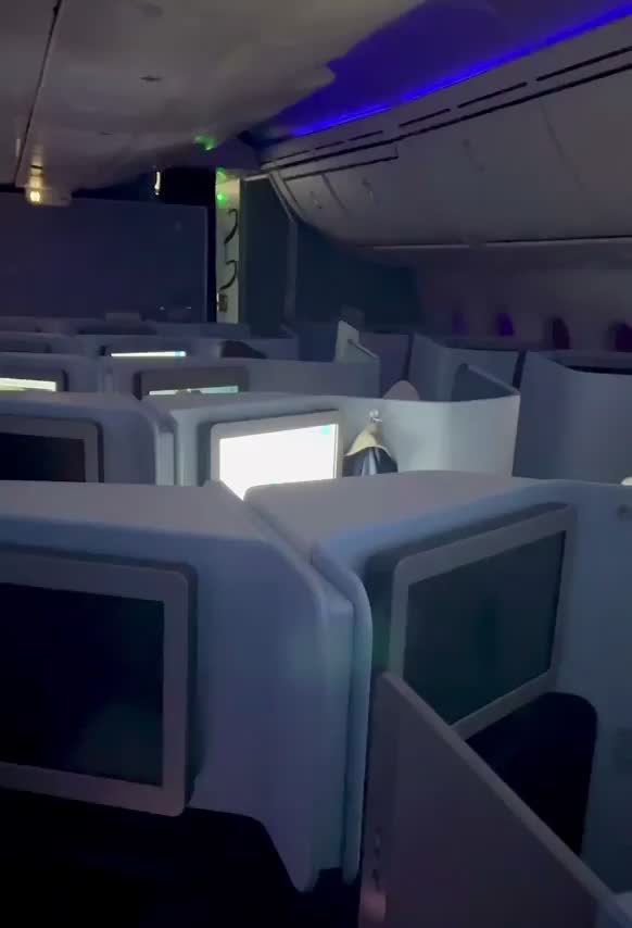 Business Class makes me horny... [GIF]