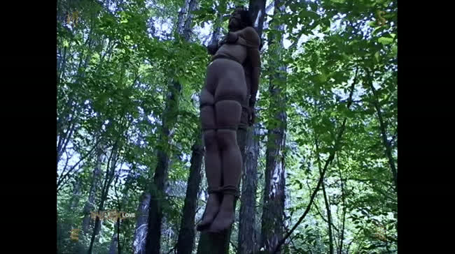 Two poor helpless teen girls restrained and tied to trees : video clip